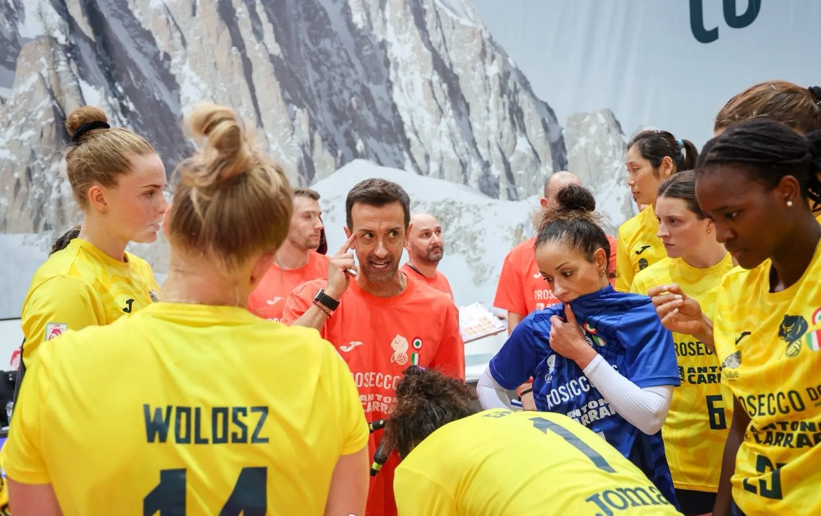 比较彻底, 错的西拉 比较彻底, 错的西拉