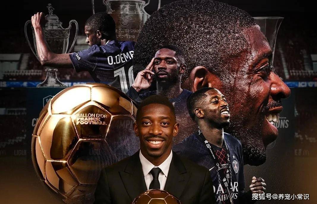 年起, style, 法国杯冠军 年起, style, 法国杯冠军